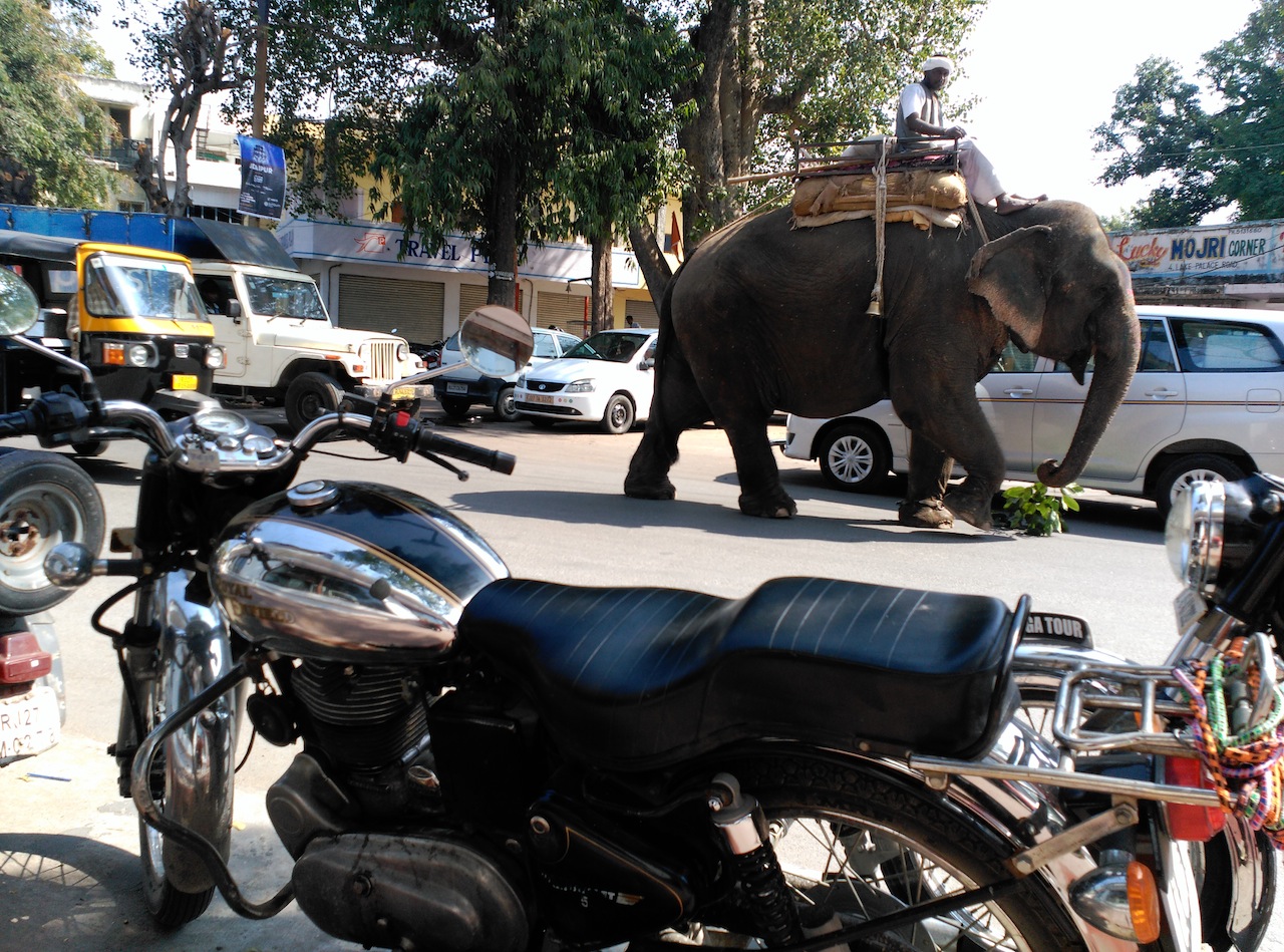 Primer objetivo cumplido: Tour leader en Rajasthan