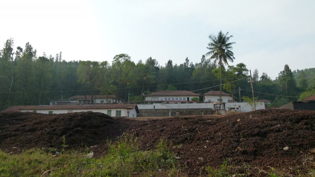 plantación de café con casa rural