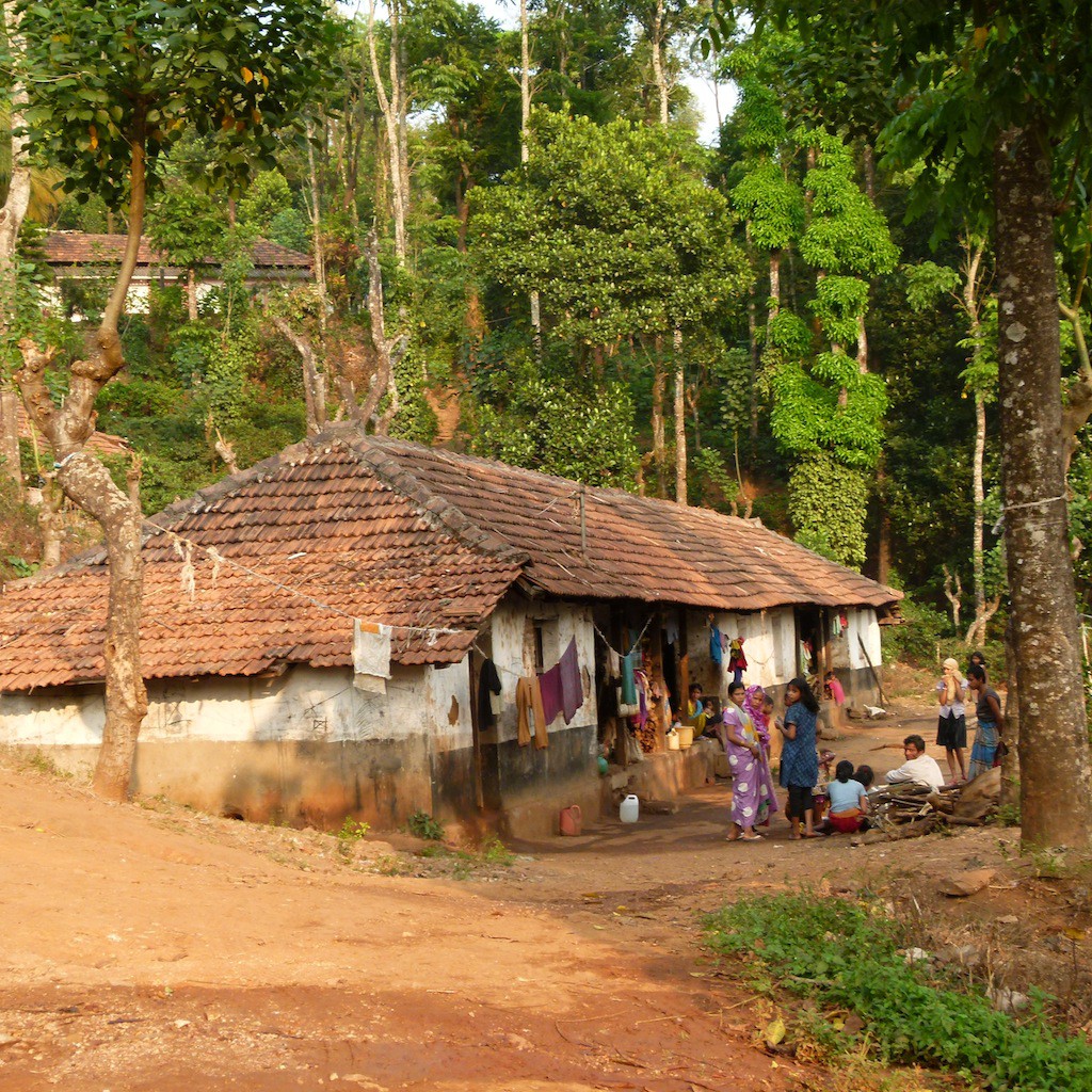 plantación de café con casa rural