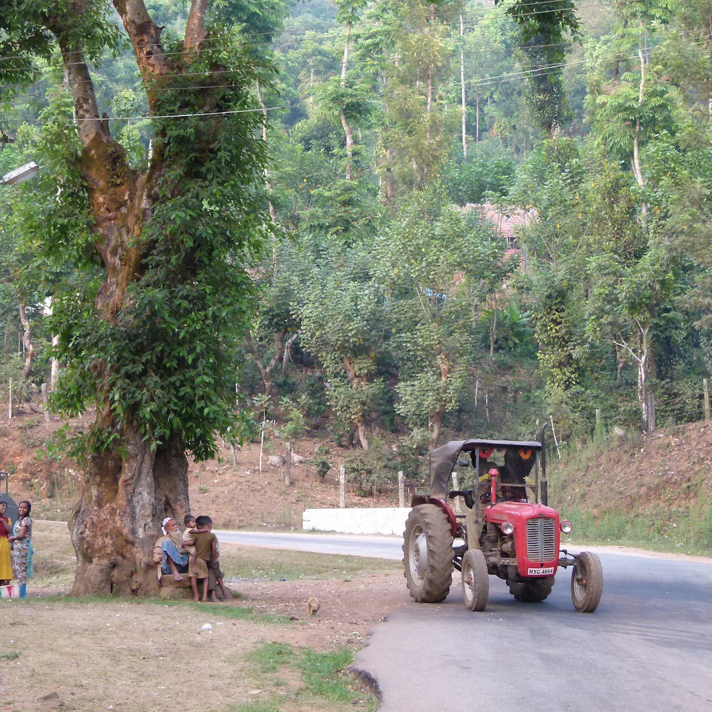 plantación de café con casa rural