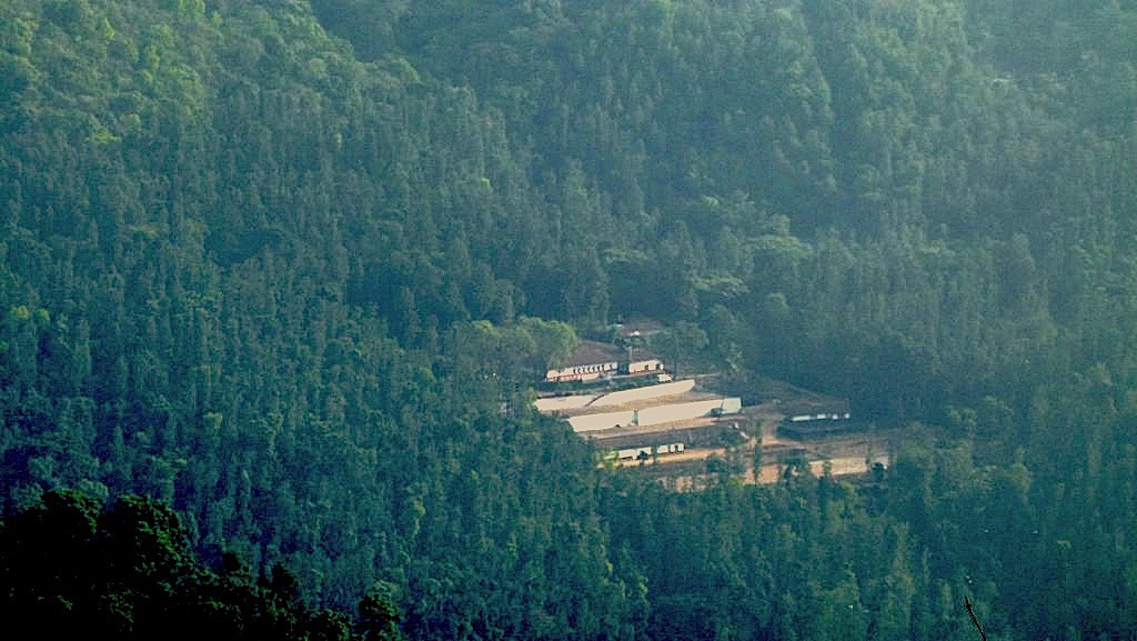 plantación de café con casa rural