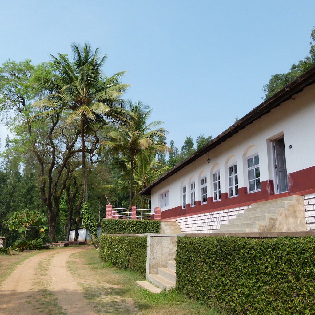 plantación de café con casa rural