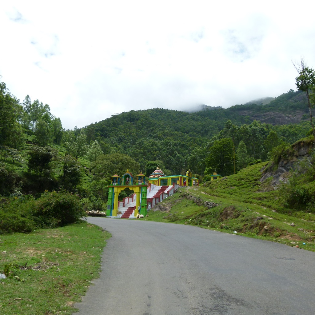 Viajar a India: Plantación de cardamomo en Munnar