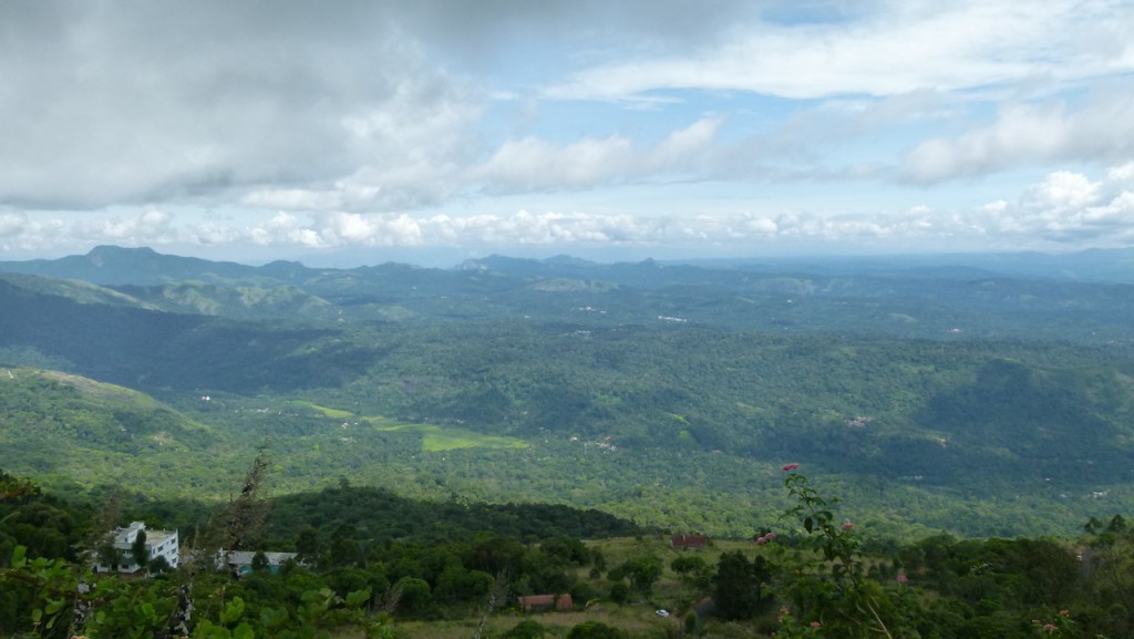 Viajar a India: Plantación de cardamomo en Munnar