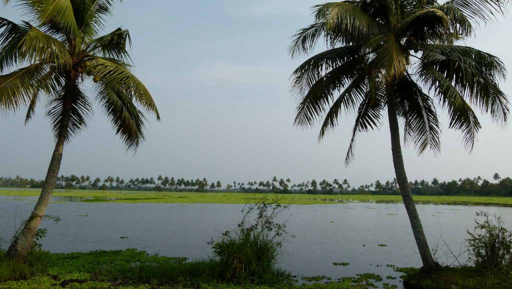 Viajar a India por Daniel González, Kerala, Mayo de 2015.