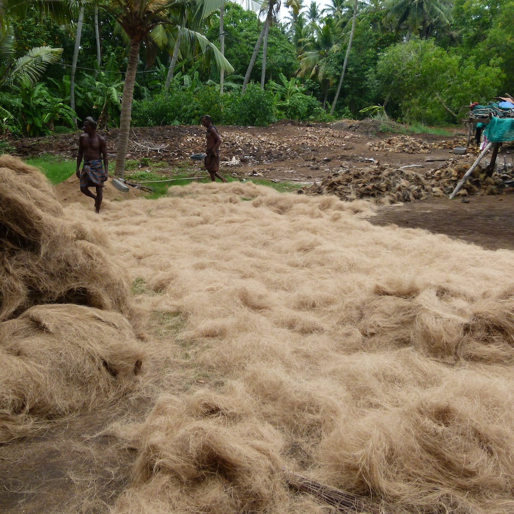 Viajar a India por Daniel González, Kerala, Mayo de 2015.