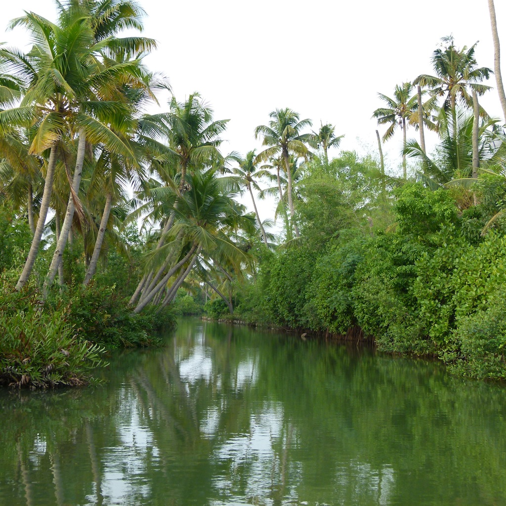 Viajar a India por Daniel González, Kerala, Mayo de 2015.