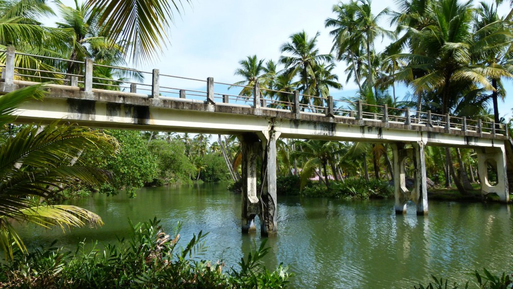 Viajar a India: La plantación de cocoteros en los Backwaters de Kerala