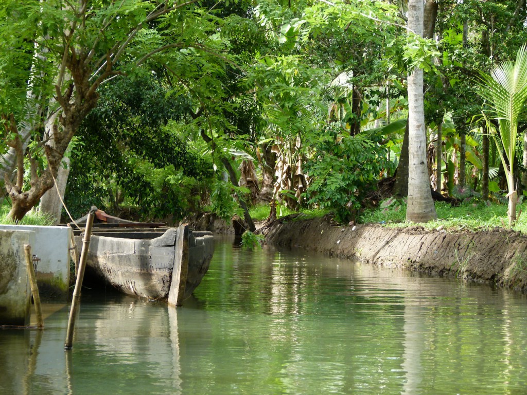 Viajar a India: La plantación de cocoteros en los Backwaters de Kerala