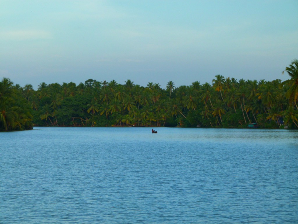 Viajar a India: La plantación de cocoteros en los Backwaters de Kerala