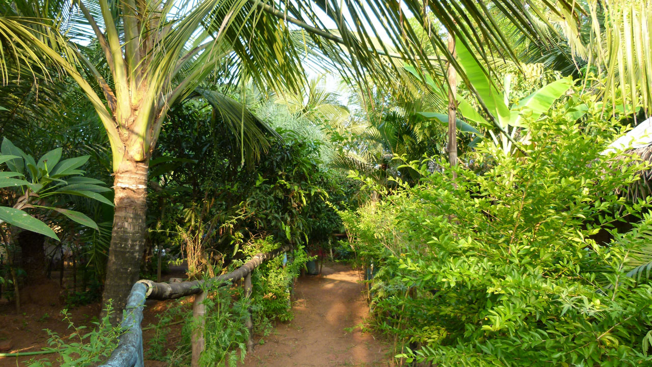 Shibu Kuriakose y el Buddhas Garden Llamemos al lugar paraíso espiritual a tú medida, porque eso es lo que Shibu transmite a sus huéspedes. Shibu es el dueño, alma y guía de Buddhas Garden desde 2009. Es masajista y maestro en yoga y meditación. Nativo de Kerala, imparte durante el verano seminarios y talleres de ayurveda, yoga y meditación en diversas ciudades de Bulgaria y Rusia. A continuación Shibu responde a nuestras preguntas.