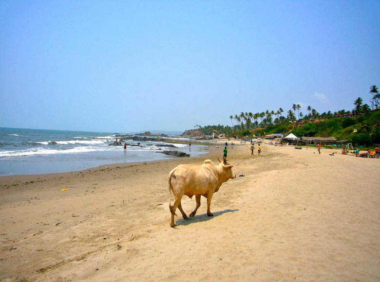 Viaje de Retiro en India, Goa y el triángulo de Oro