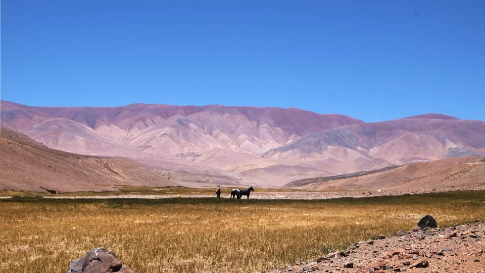 Desierto de Atacama en moto con Enduro Austral