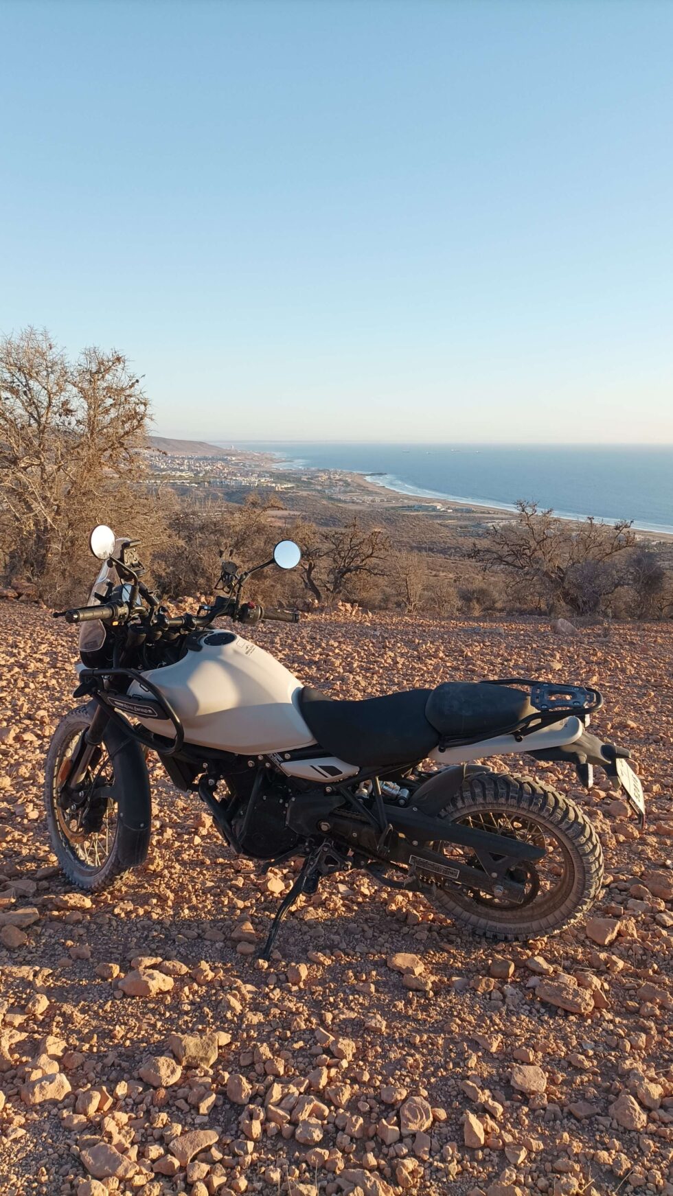 DANI GUARINOS ROYAL ENFIELD HIMALAYAN 450
