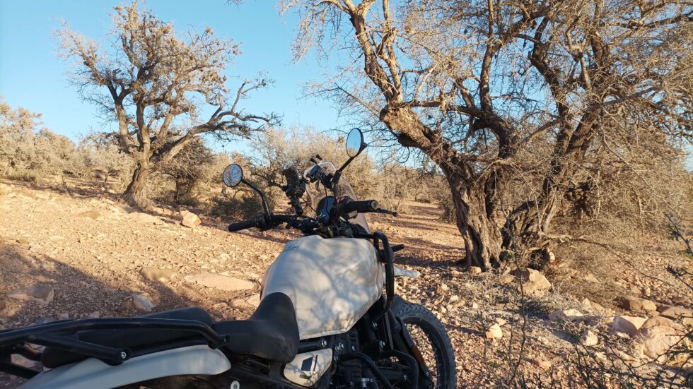 DANI GUARINOS ROYAL ENFIELD HIMALAYAN 450