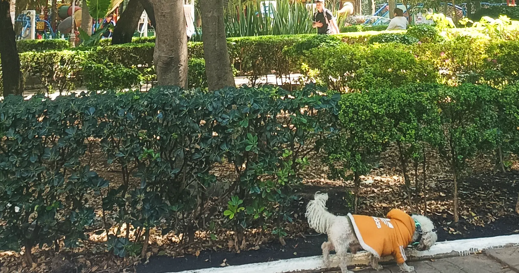 9 días en México: CDMX y Tepoztlán.