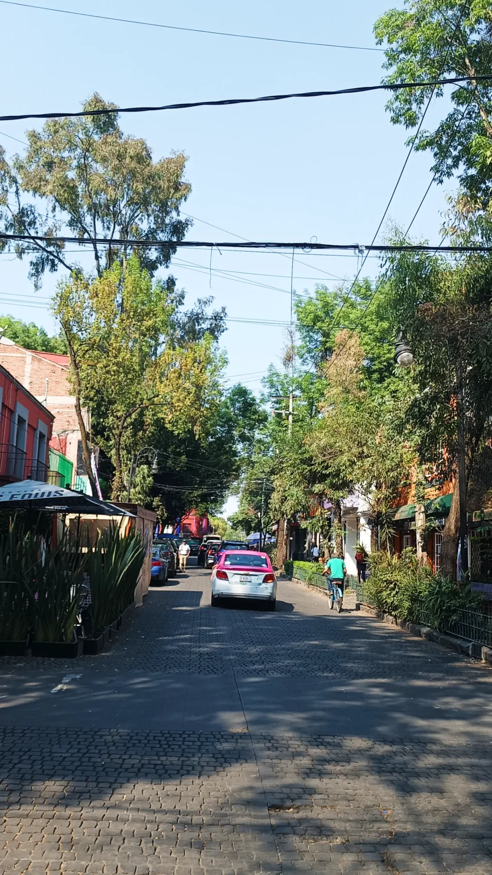 9 días en México: CDMX y Tepoztlán.