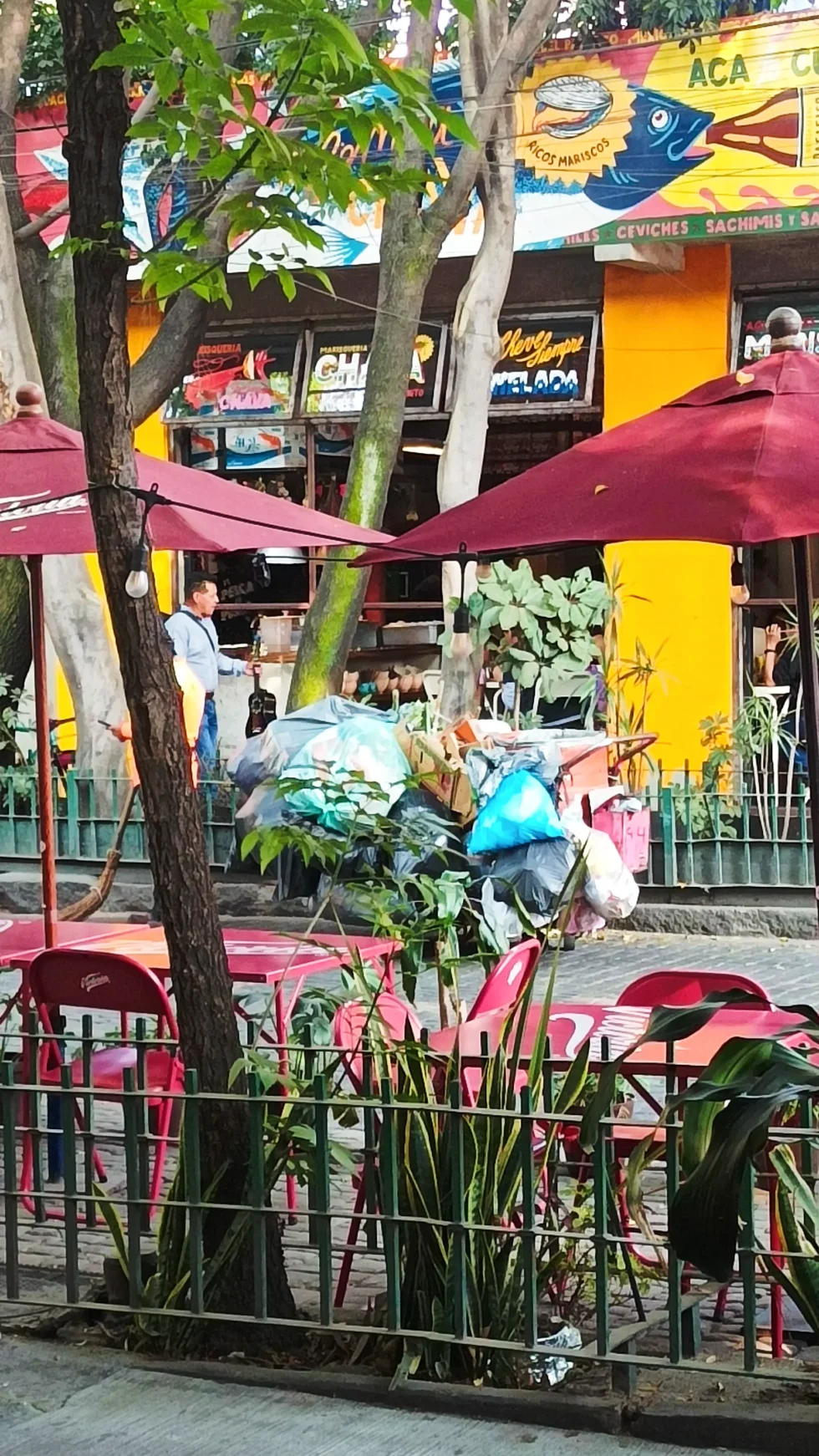 9 días en México: CDMX y Tepoztlán.