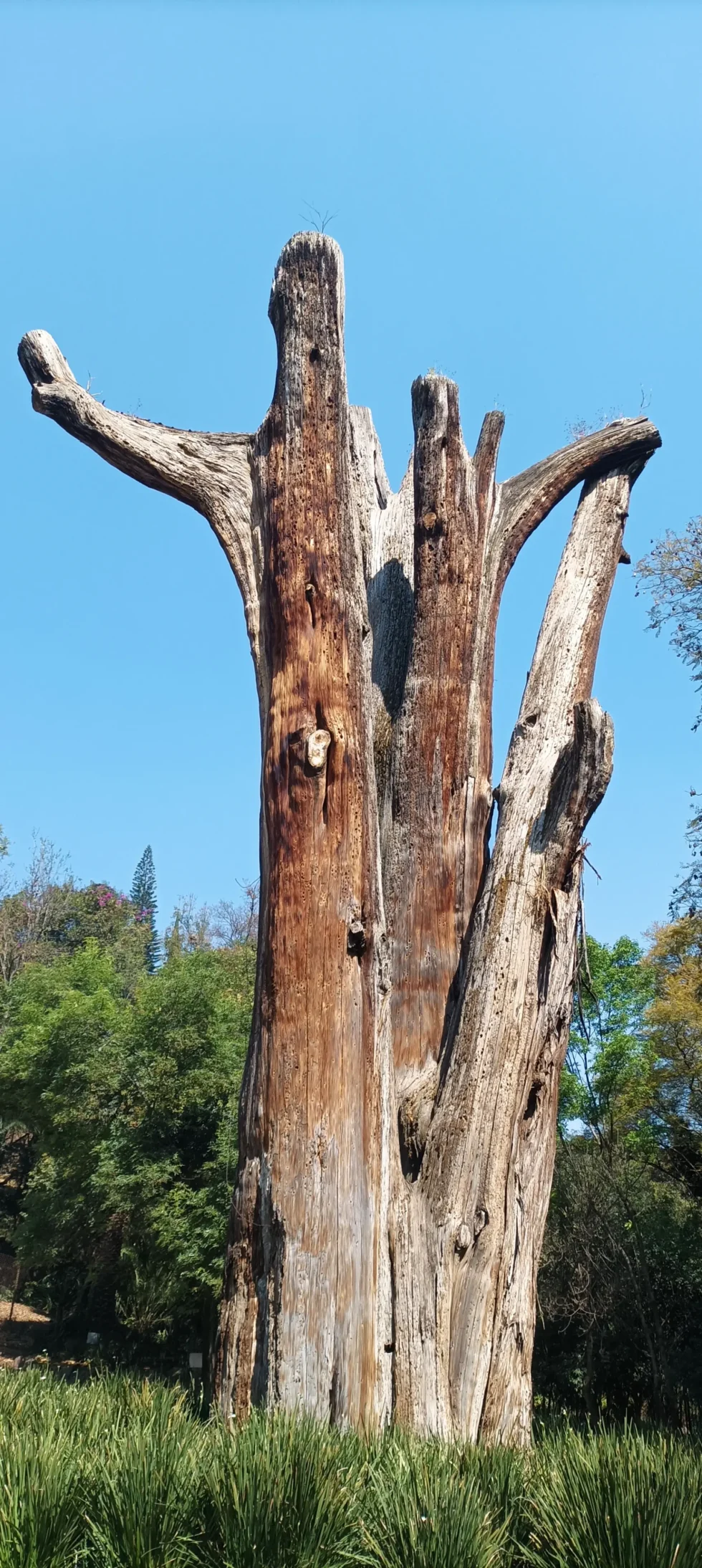 9 días en México: CDMX y Tepoztlán.