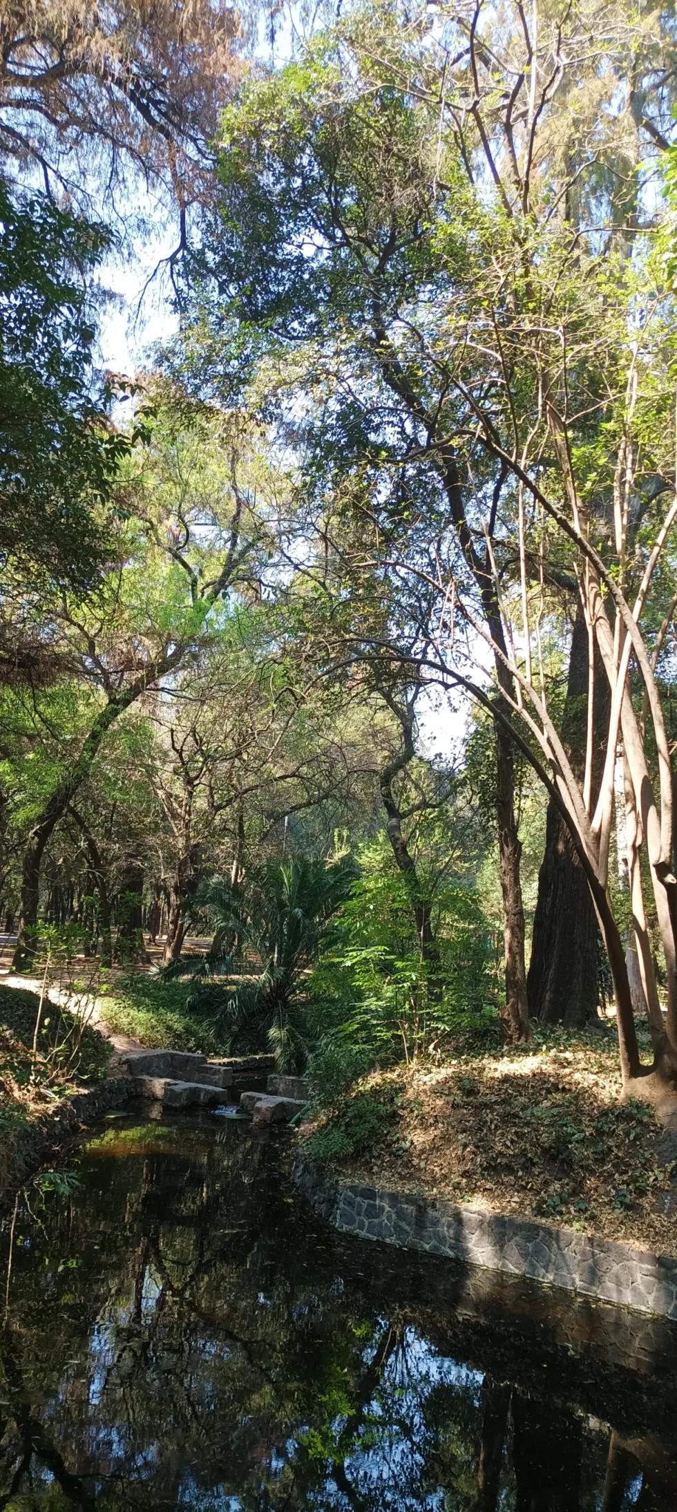9 días en México: CDMX y Tepoztlán.