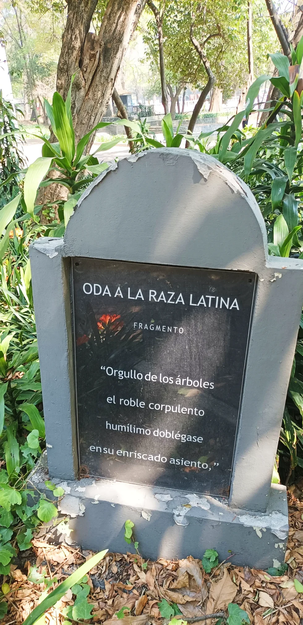 9 días en México: CDMX y Tepoztlán.