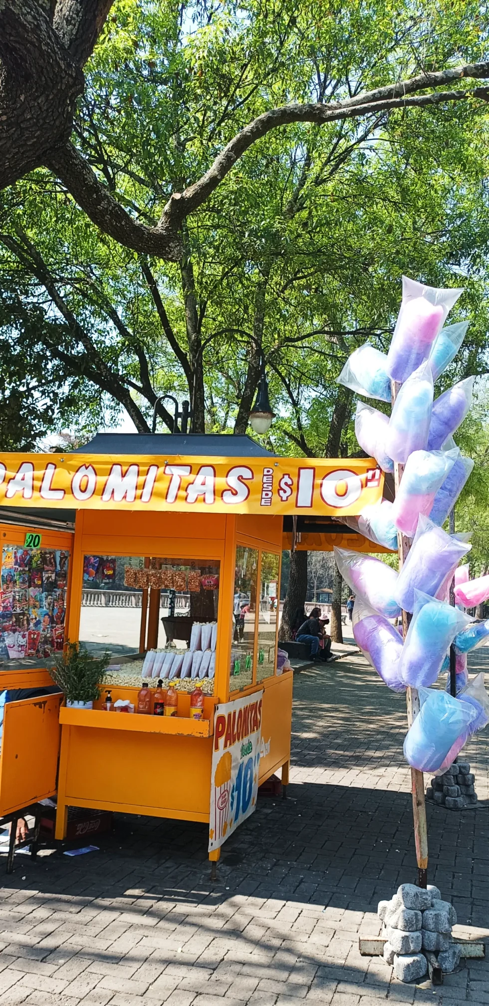 9 días en México: CDMX y Tepoztlán.