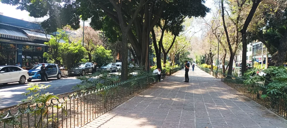 9 días en México: CDMX y Tepoztlán.