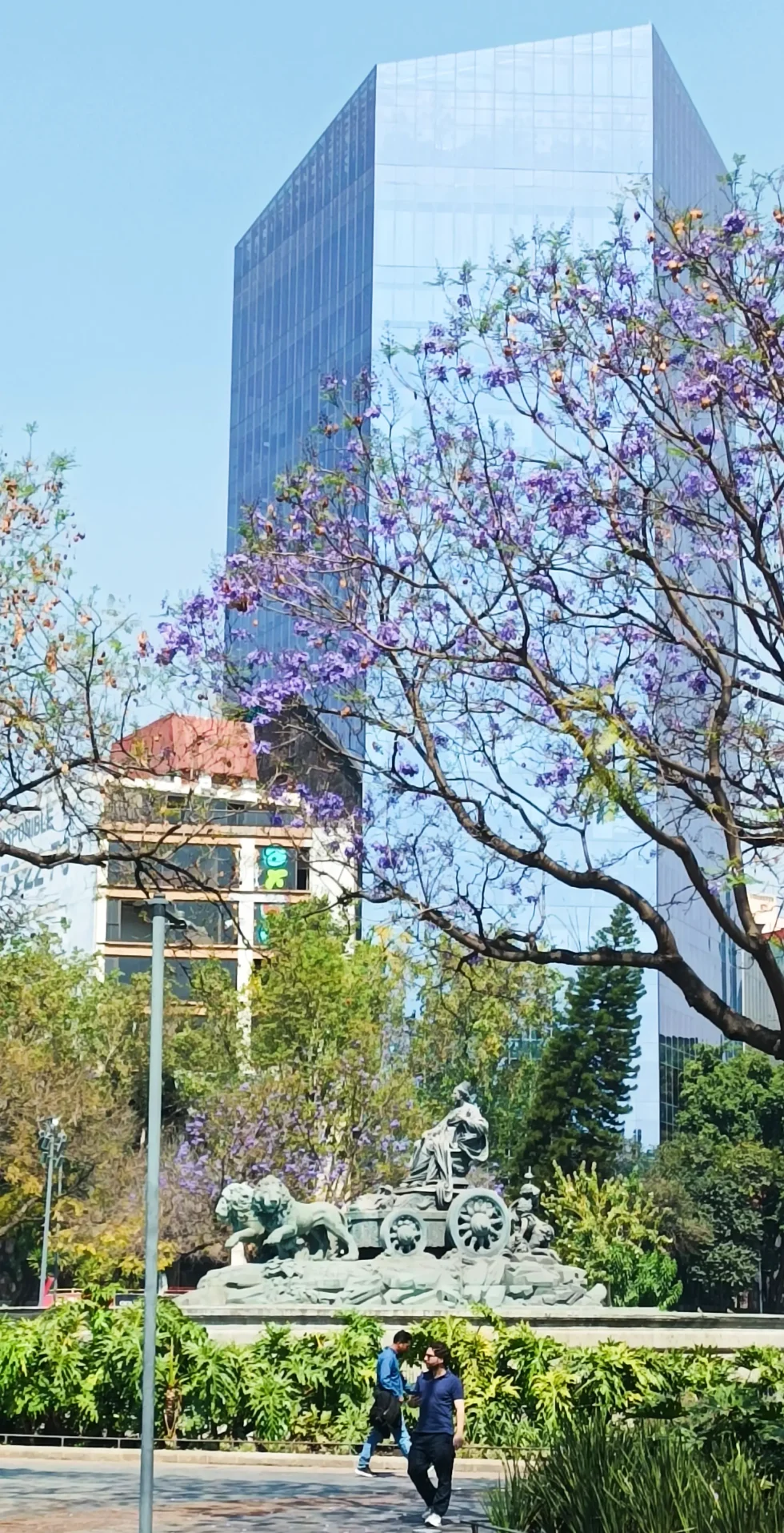 9 días en México: CDMX y Tepoztlán.