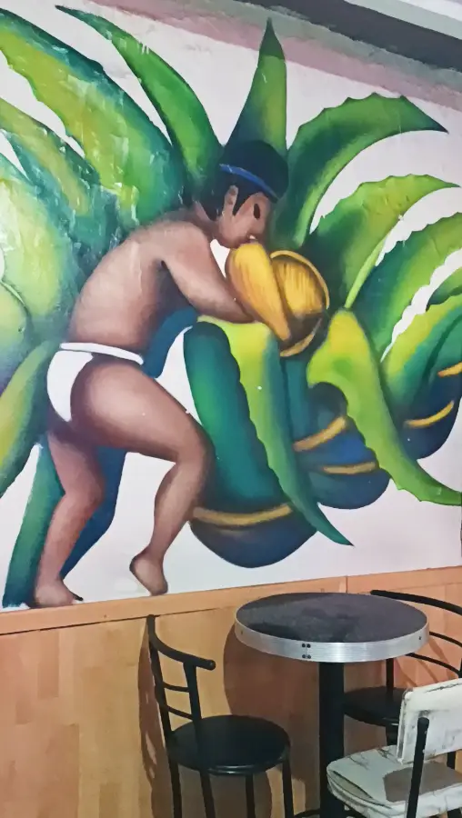 9 días en México: CDMX y Tepoztlán.