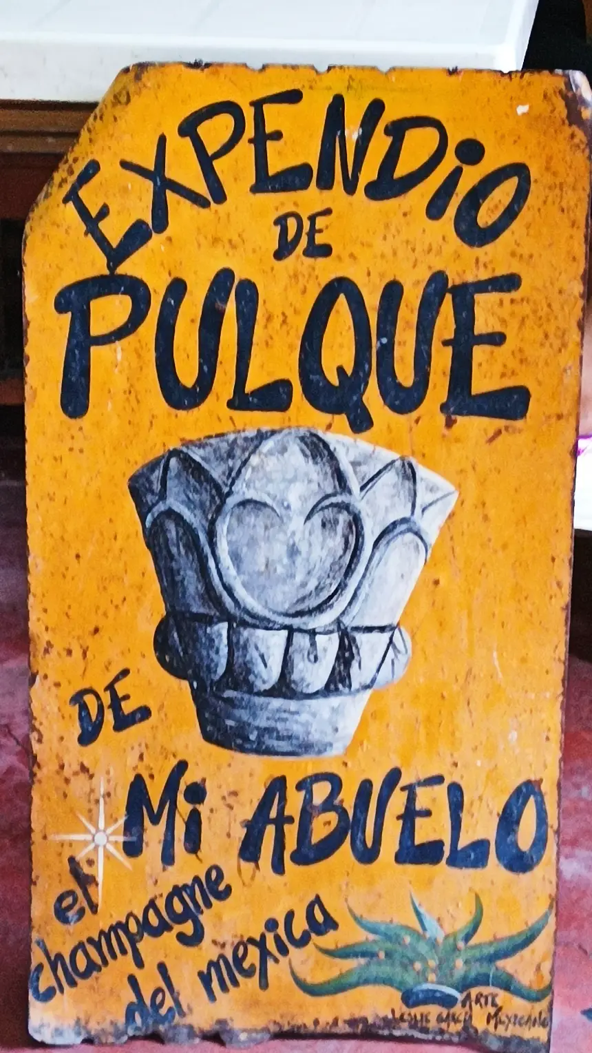 9 días en México: Tepoztlán Vol. II