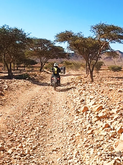Ruta en moto por Marruecos: Draa y Chegaga en grupo para todos los niveles