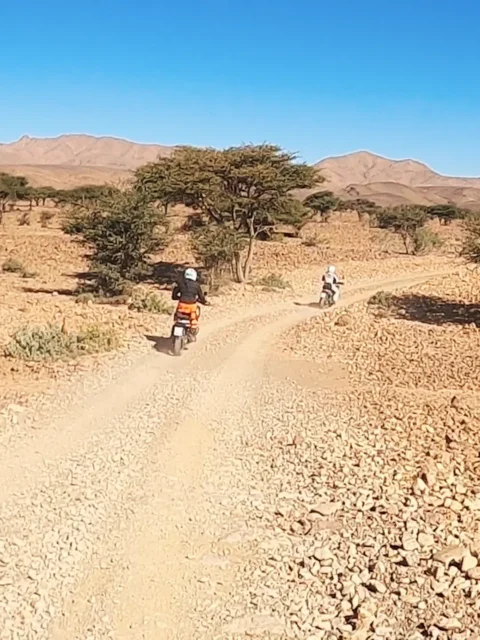 Ruta en moto por Marruecos: Draa y Chegaga en grupo para todos los niveles