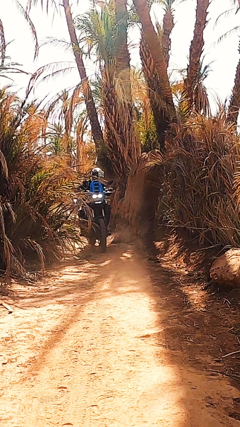 Ruta en moto por Marruecos: Draa y Chegaga en grupo para todos los niveles