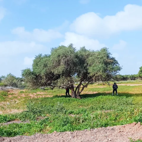 Ruta en moto por Marruecos: Draa y Chegaga en grupo para todos los niveles