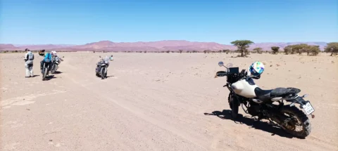 Ruta en moto por Marruecos: Draa y Chegaga en grupo para todos los niveles