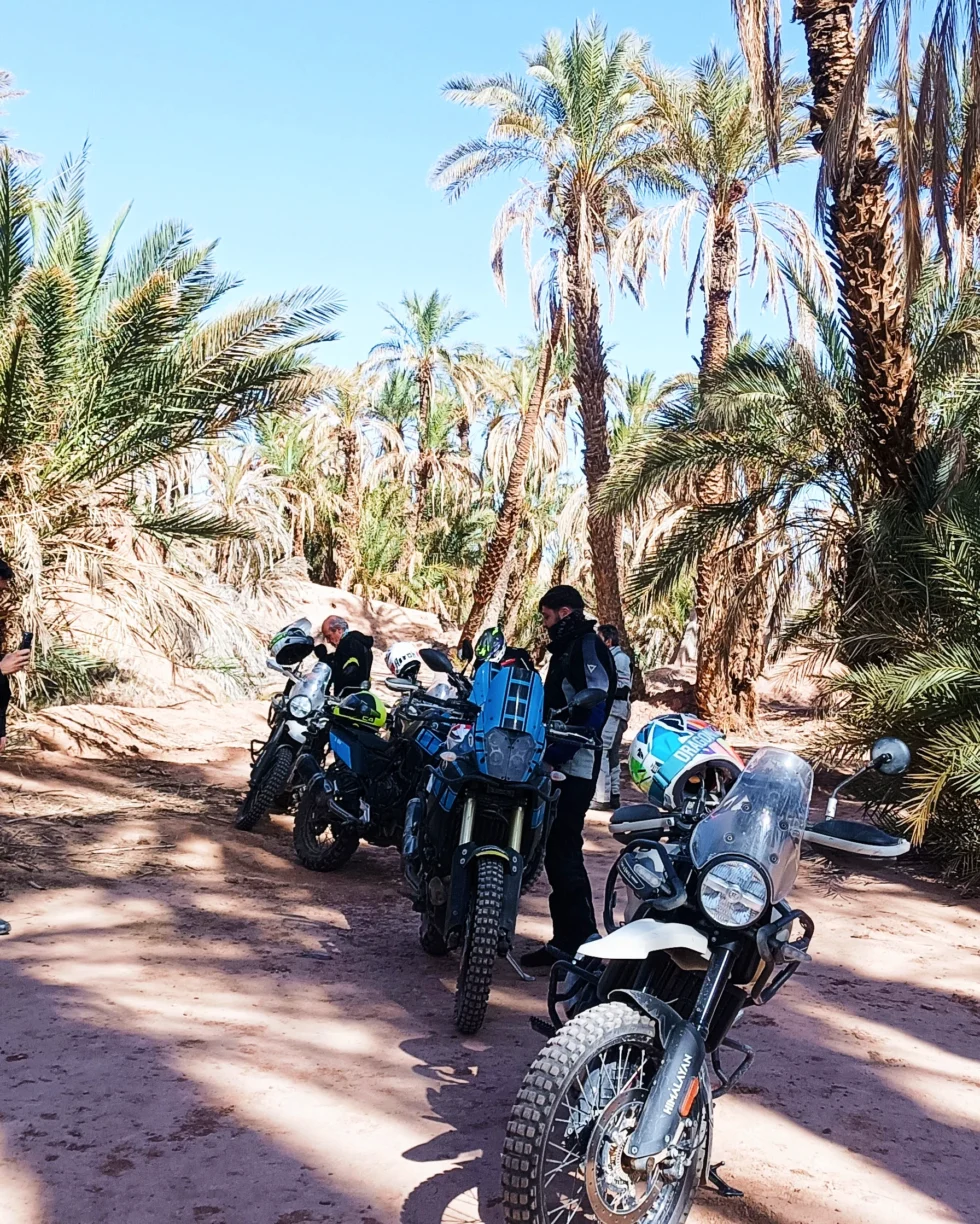Ruta en moto por Marruecos: Draa y Chegaga en grupo para todos los niveles