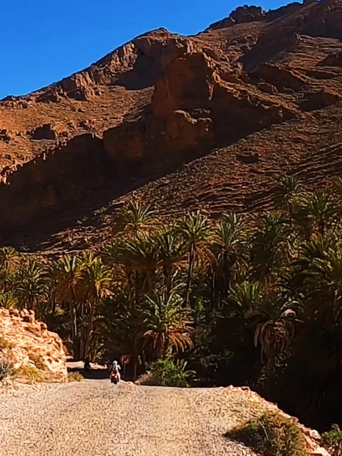 Ruta en moto por Marruecos: Draa y Chegaga en grupo para todos los niveles